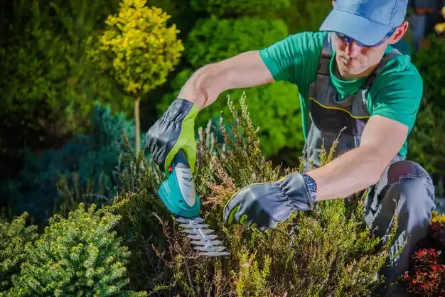 landscaping services Stephenson